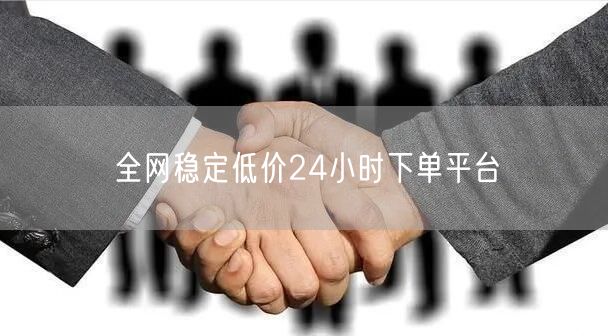 全网稳定低价24小时下单平台