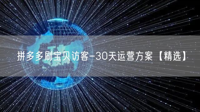 拼多多刷宝贝访客-30天运营方案【精选】